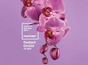 Pantone elegge Radiant Orchid colore 2014