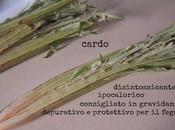 Cardi caratteristiche, proprietà ricette