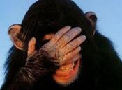 Come vorresti chiamarti: ecco nomi imbarazzanti sempre