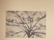 Elina Miticocchio legge Quaderni dell’Agnizione Carte Sensibili.