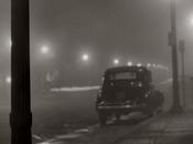 Guidare nebbia, come minimizzare rischi Automobilismo.it