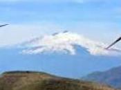 Gruppo Italia Energia: nuova direzione