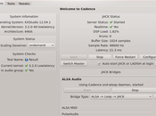 Guida KXStudio ampia collezione software dedicato all'audio/video GNU/Linux: Introduzione Cadence.