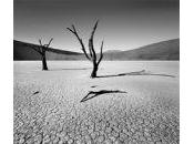 LAMPEDUSA DEGLI SBARCHI- testo collettivo anonimo REBELDIA