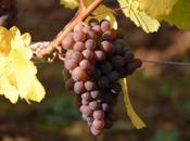 Nuovi impianti: arrivano soldi