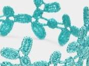 Cruciani..bracciali POP-DOg