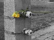 giorno della memoria