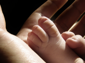 legge sulla procreazione assistita, arriva all’esame della Corte