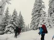 Neve: scuole chiuse Pontinvrea, Mioglia, Urbe. mezzi pesanti