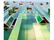 Sotto lente guardando verso