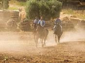 MasterChef travolge ogni record puntata vista sempre