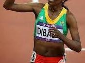 Record mondo 1500 metri Dibaba Germania