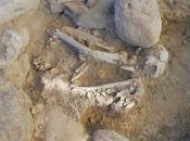 Nuove scoperte Ventanas