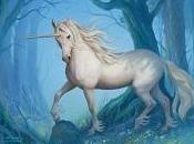 L'unicorno Andromeda