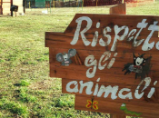Italia: anno scomparsi milioni animali. Sono razze rischio