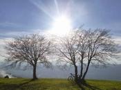 Nonostante Murphy ovvero...uscita 6/2/2014