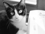 Bunch Black White Every Month November December