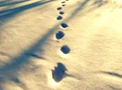 Sento neve cadere Domenico Infante