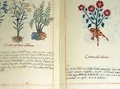 Codice Voynich scritto dialetto azteco?