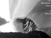 Floriana Porta, artista. Intervista haiku, acquerelli poesia