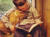 Book Buddies: leggere gatti ridargli fiducia negli esseri umani