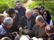 Alla scoperta delle "buone erbe" Padule Fucecchio