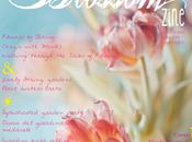 Blossom zine Primavera arrivata!