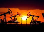 Namibia Prospezioni petrolifere della Shell ottimismo classe politica loco