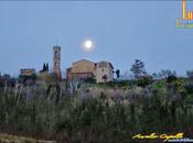 luna, cipressi volo colombi