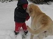 bambino, cane neve