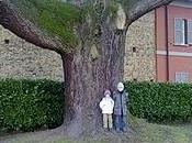 PUBBLICA MENTE ovvero PICCOLO BELLO