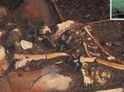 Mammut, mastodonti bisonti giganti scoperti cimitero pressi Aspen