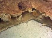 Apple Pie!