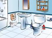 Come funzionano notizie