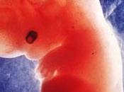 Sconfiggere malattie genetiche screening prenatale: arriva test ereditarie