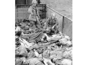 Ricordiamoci ricordare: Giorno della Memoria