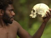 panino alla giapponese?