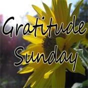 ***Gratitude Sunday***