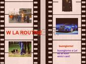 Routine, grande bellezza