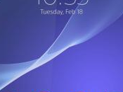 Sony Xperia Tablet hanno pellicola protettiva