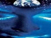 Oggi nella rubrica: Psicopittografia, Perchè gente tratta certo modo