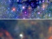 semi cosmici sbocciano stelle