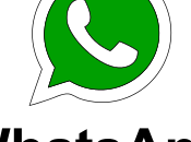 Whatsapp, siete scemi?