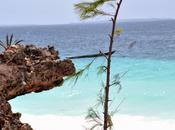 ZANZIBAR Paradise.
