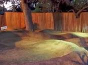 mini Pamp Track giardino..