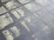 adesso arriva polline