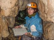 Preistoria irlandese