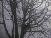 Nuovo libro paolo olivero piccola luna rupe mutevole edizioni