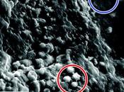 Scienziati NASA trovano evidenze acqua meteorite. rilancia dibattivo sulla vita Marte
