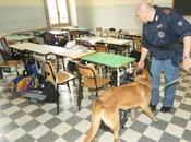 Marzamemi: controlli antidroga nelle scuole “Solo qualche spinello”